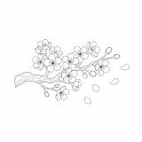 Flower branch coloring page preview